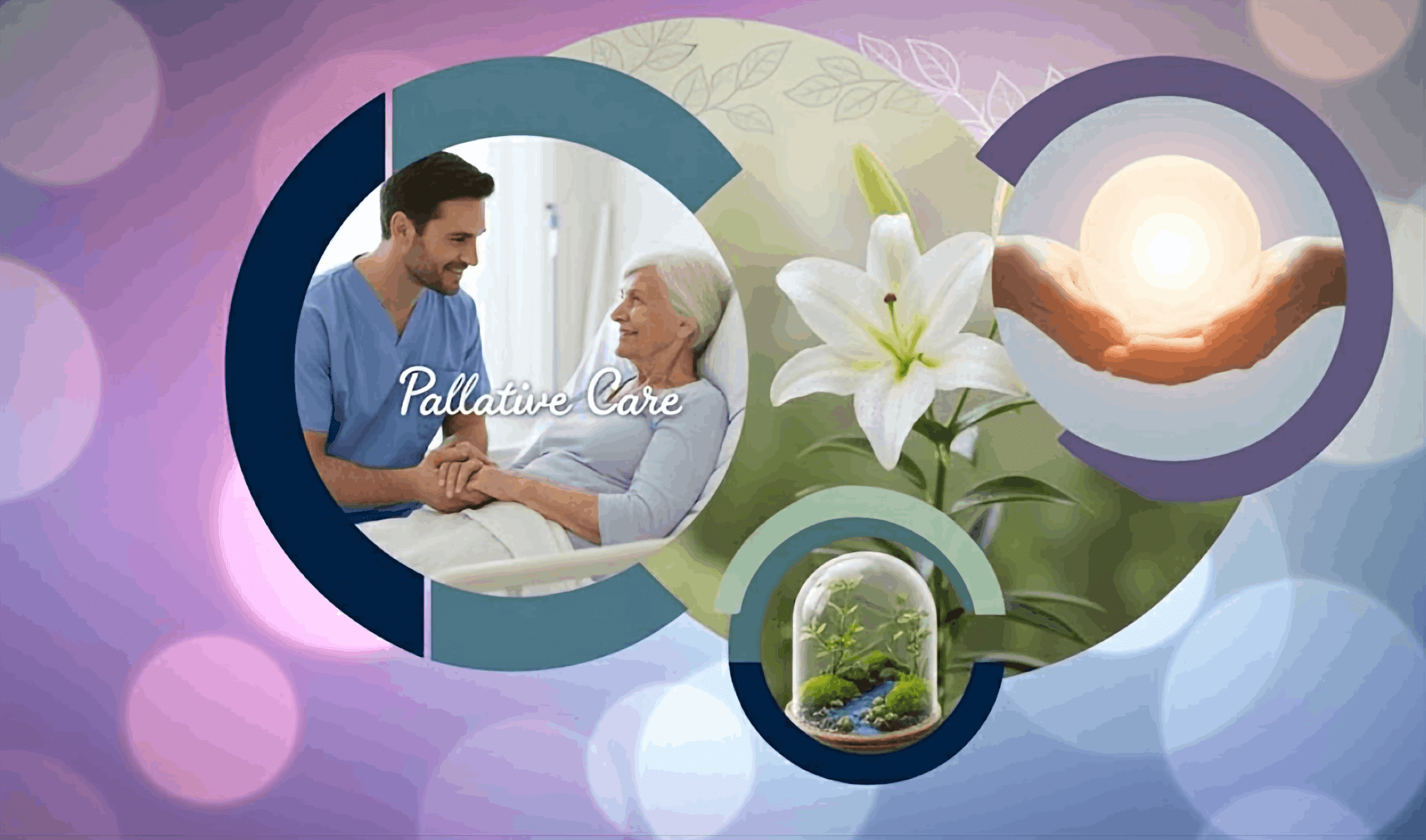 pallative-care
