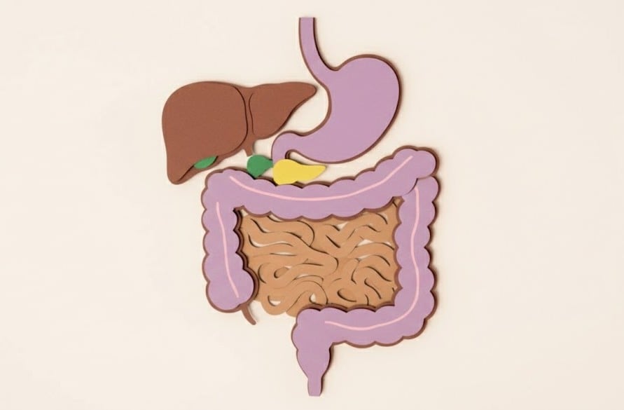 Σύνδρομο Ευερέθιστου Εντέρου