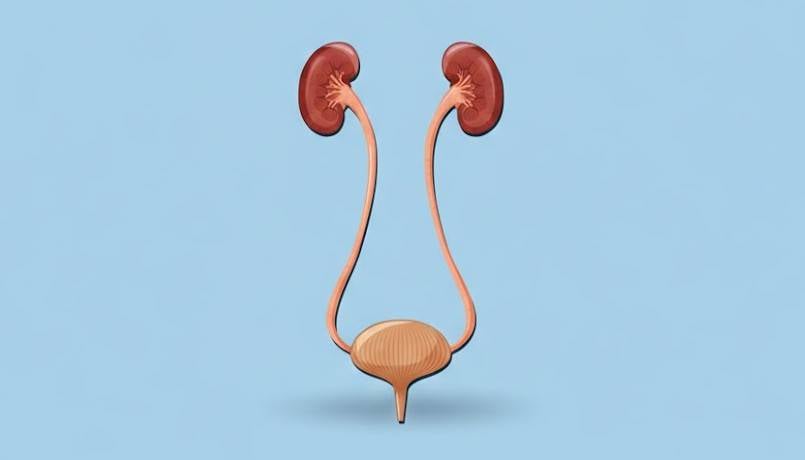 Ουρολοίμωξη